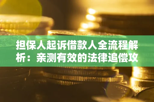 济南担保人起诉借款人全流程解析：亲测有效的法律追偿攻略