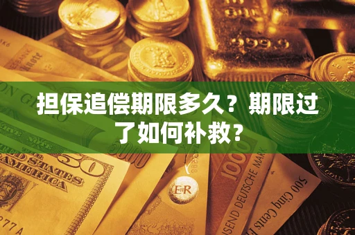 济南担保追偿期限多久？期限过了如何补救？