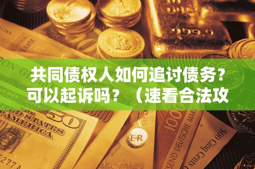 济南共同债权人如何追讨债务？可以起诉吗？（速看合法攻略）