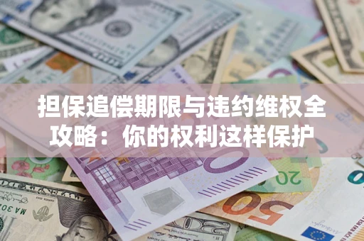 济南担保追偿期限与违约维权全攻略：你的权利这样保护