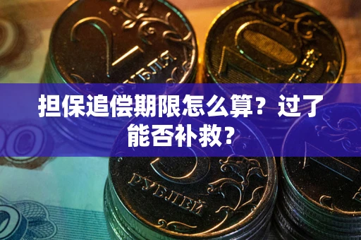 济南担保追偿期限怎么算？过了能否补救？